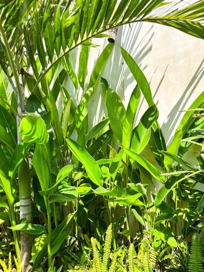 Las Flores Lombok Kuta  Dış mekan fotoğraf